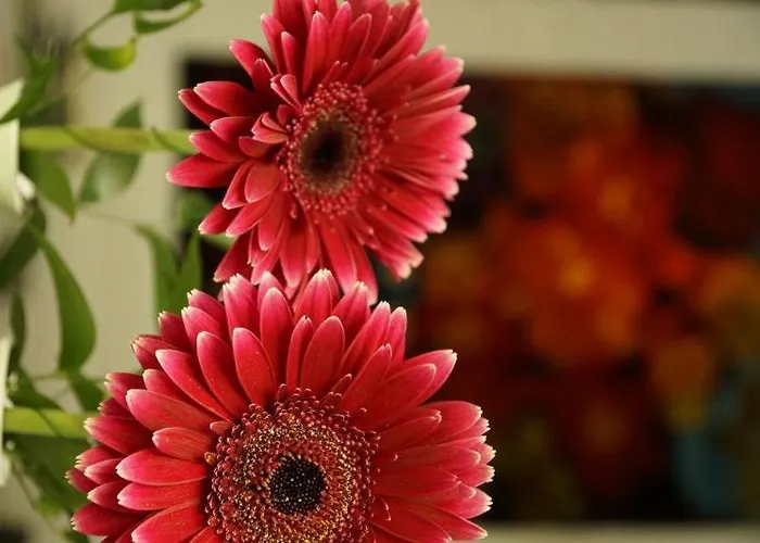 Hotel Roth Am Strande 4*